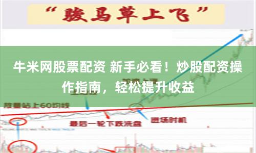 牛米网股票配资 新手必看！炒股配资操作指南，轻松提升收益