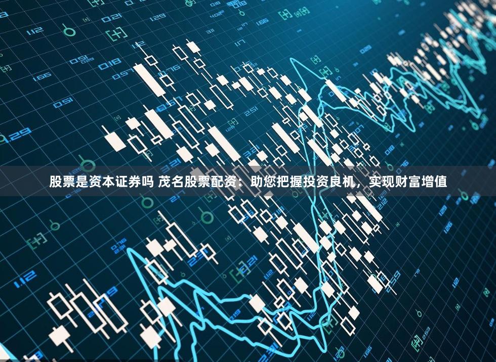 股票是资本证券吗 茂名股票配资：助您把握投资良机，实现财富增值