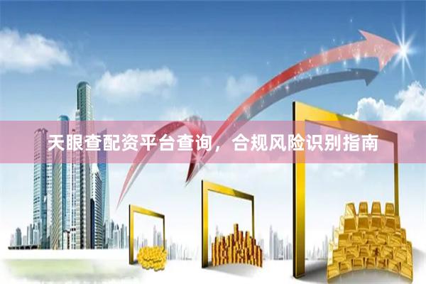 天眼查配资平台查询，合规风险识别指南