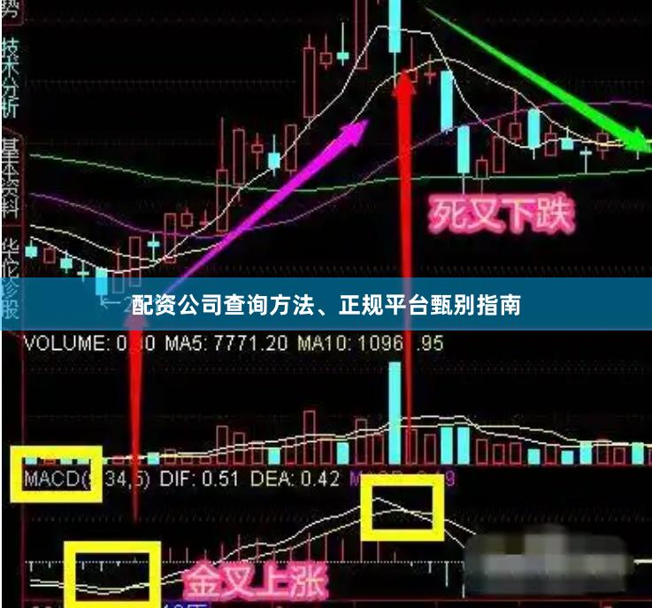 配资公司查询方法、正规平台甄别指南