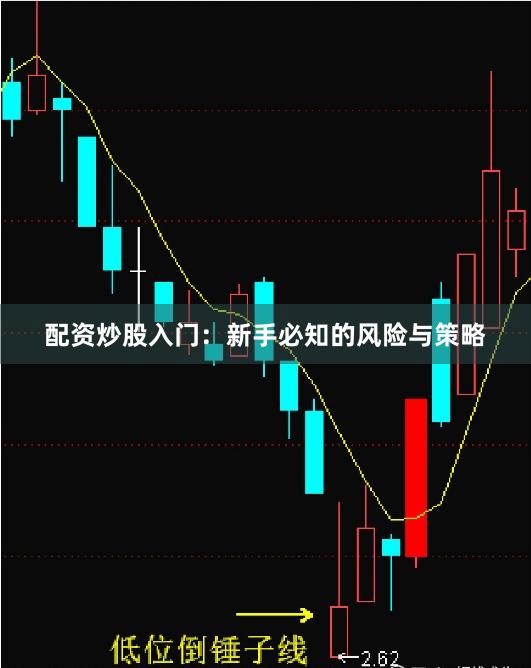 配资炒股入门：新手必知的风险与策略